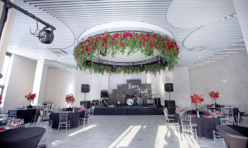 KRAFT experts shared their predictions on which types of suspended ceilings will be the most popular in 2024