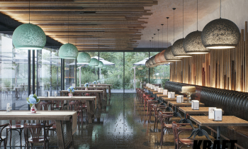 Non-standard decor of the ceiling and walls with the use of slats (+5 photos)