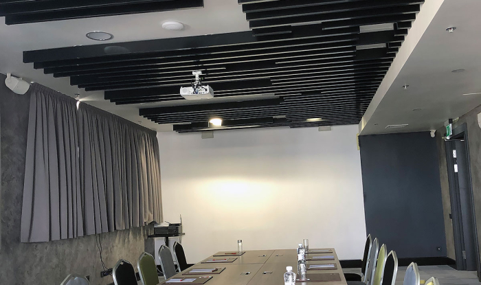 Ibis Kyiv City Center Hotel - stylish ceiling as an element of image (+9 photo)